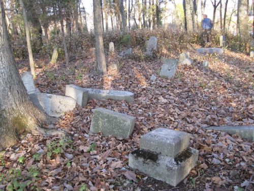 The Henderson Family Cemetery off Puckett Road in Norene, TN has fallen into disrepair.